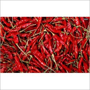 Red Chilli Red Chilli