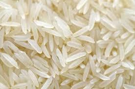 RICE RICE
