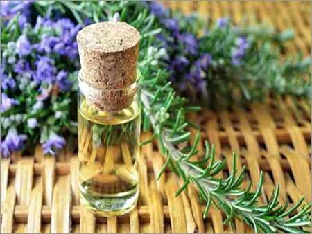 Rosemary-Oil Rosemary-Oil