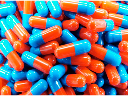 Empty Shell Capsule Empty Shell Capsule