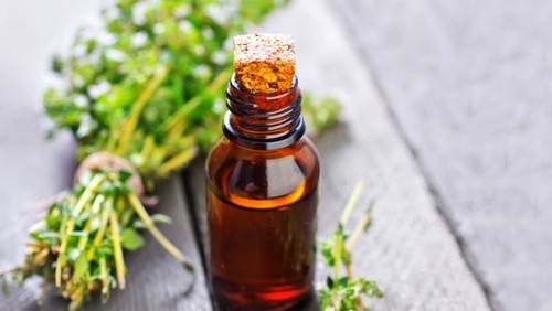 Thymol Oil Thymol Oil