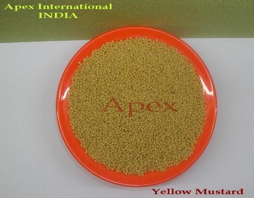 Yellow Mustard Seeds Yellow Mustard Seeds