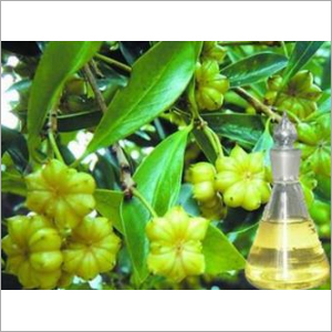 Anise Oil Anise Oil