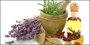 Herbal Extract Herbal Extract